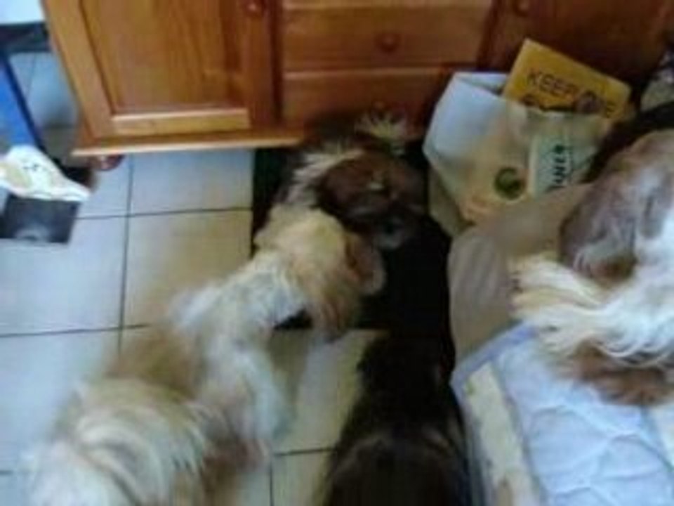 Vidéo 042