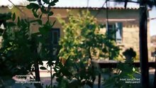 Μπλε Ώρες Επ8