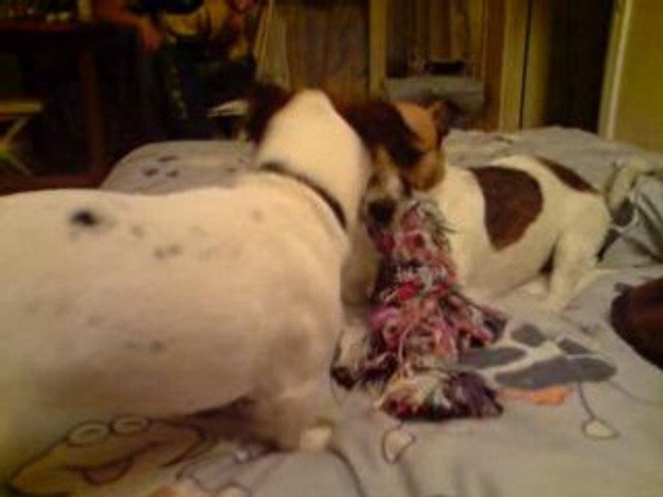 colby et zoe