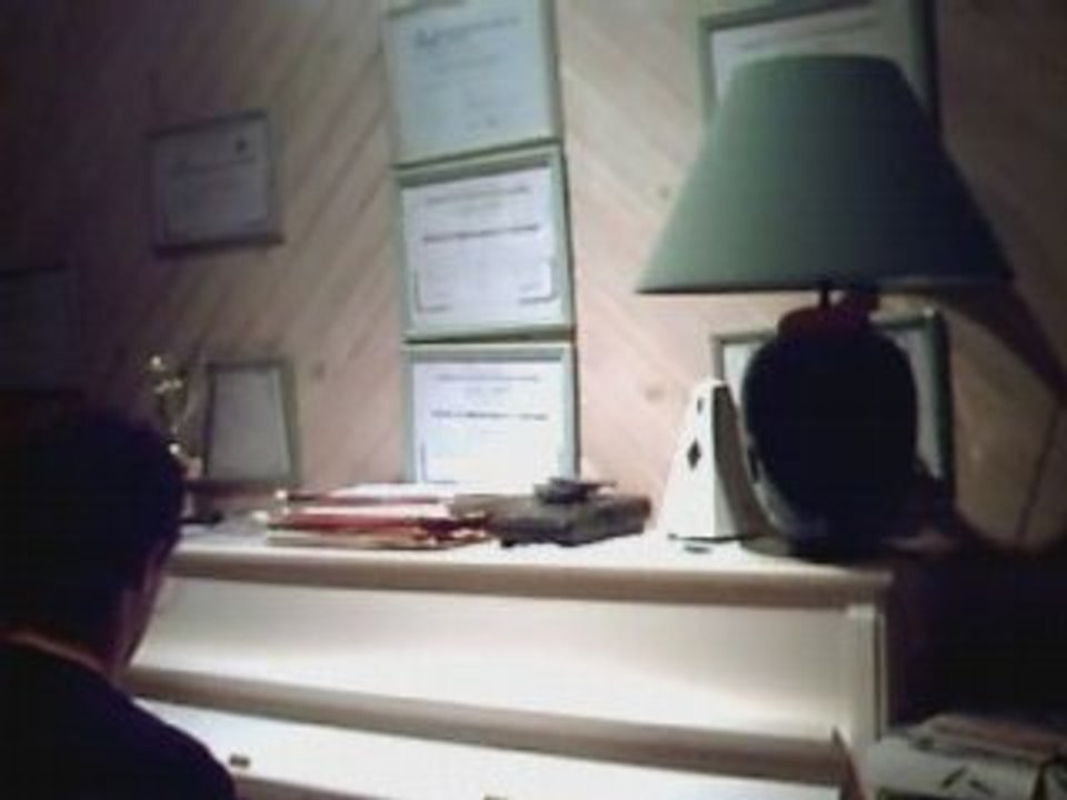 The wings Brokeback Mountain B.O.