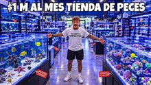 ¡Nos fuimos de tour y compramos peces en el negocio de acuarios más grande!