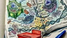 La transposition didactique : du savoir savant au savoir enseigné