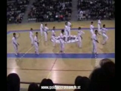 Taekwondo-Korean Tigers Demonstration Paris 2003