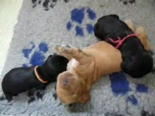 6 aout pm (2)_converted