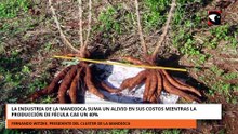 LA INDUSTRIA DE LA MANDIOCA SUMA UN ALIVIO EN SUS COSTOS MIENTRAS LA PRODUCCIÓN DE FÉCULA CAE UN 40%