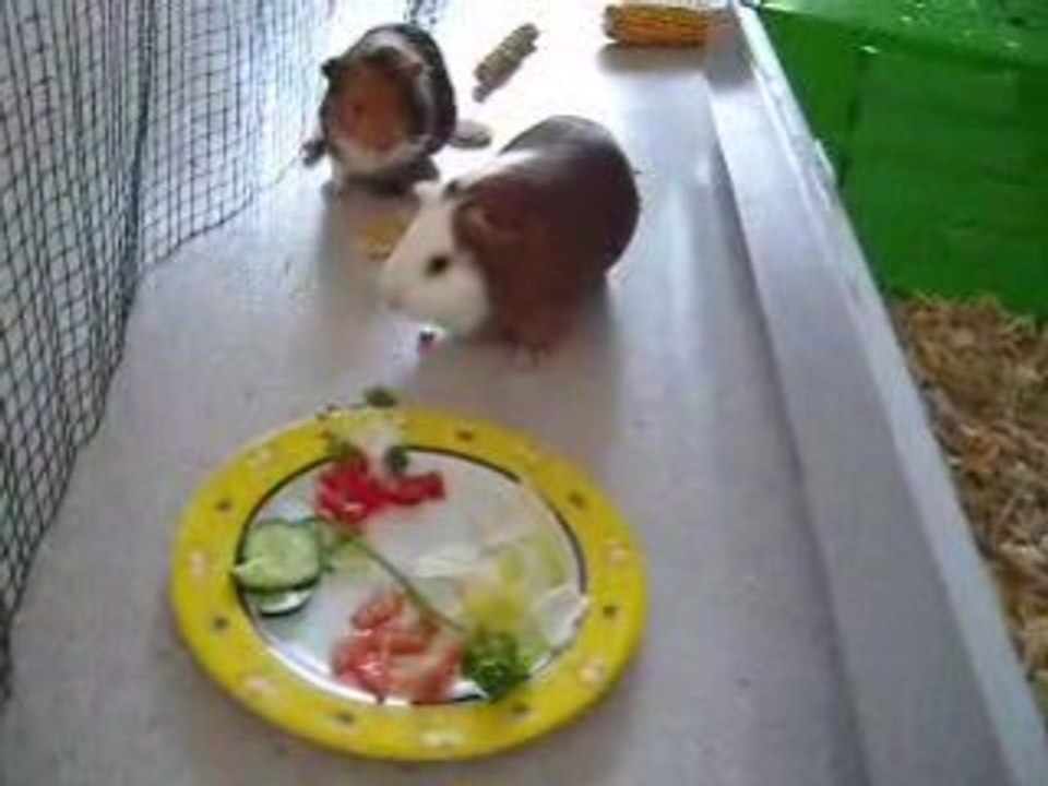 lulu et lili