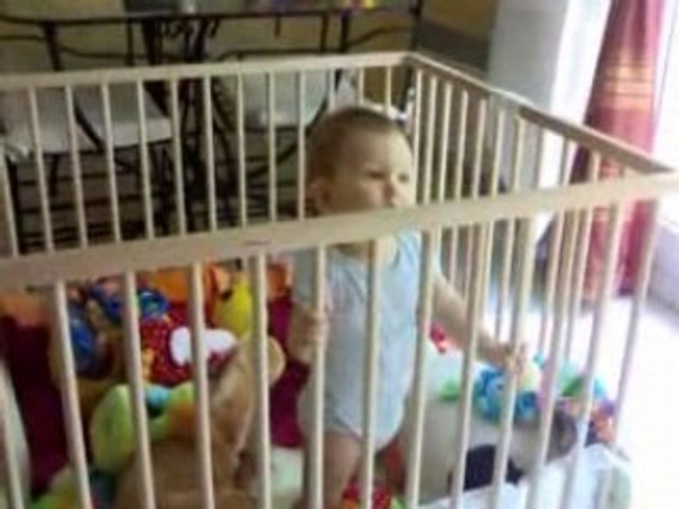 Milo, debout dans on parc