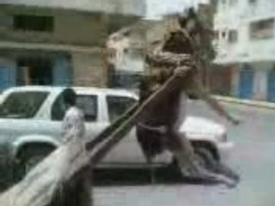 Ane nador