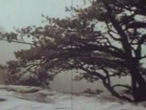 Historical Civil War Reenactment Movie from the 1950’s