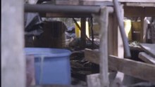 HEREDEROS DE PABLO ESCOBAR - CLANDESTINO