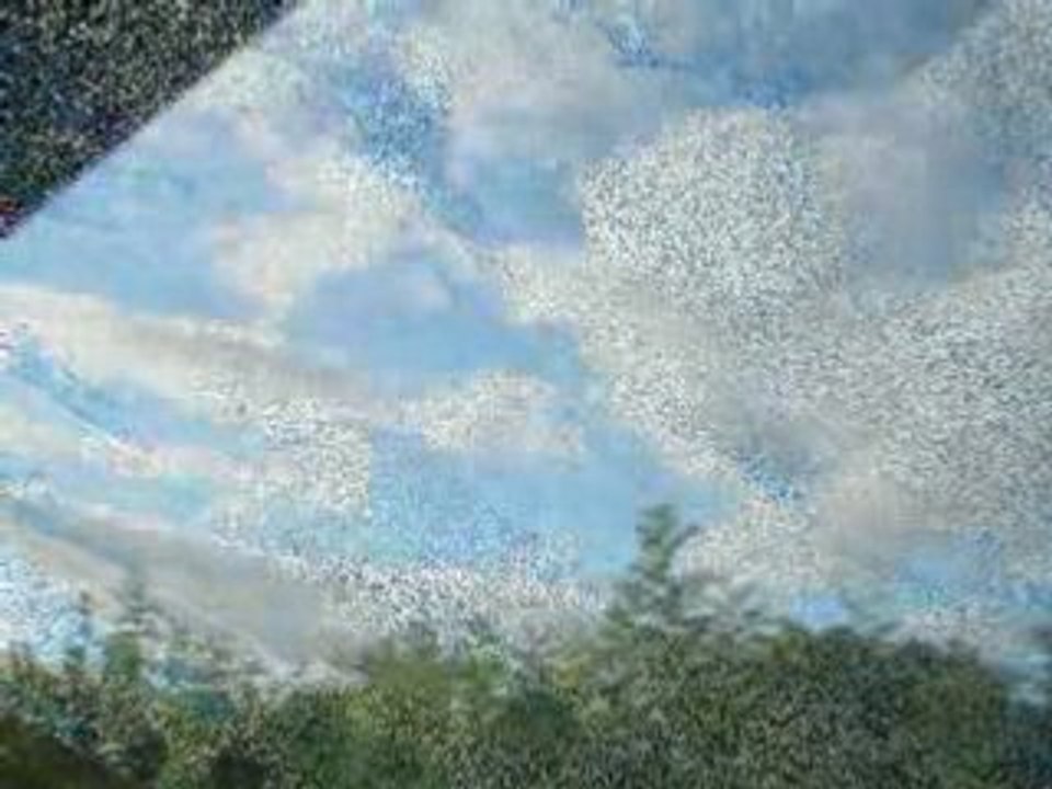 le ciel, une toile infinie...