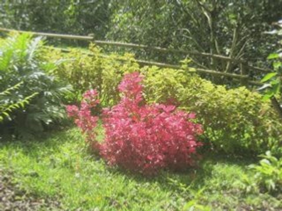 Coffee Zone - Colombia