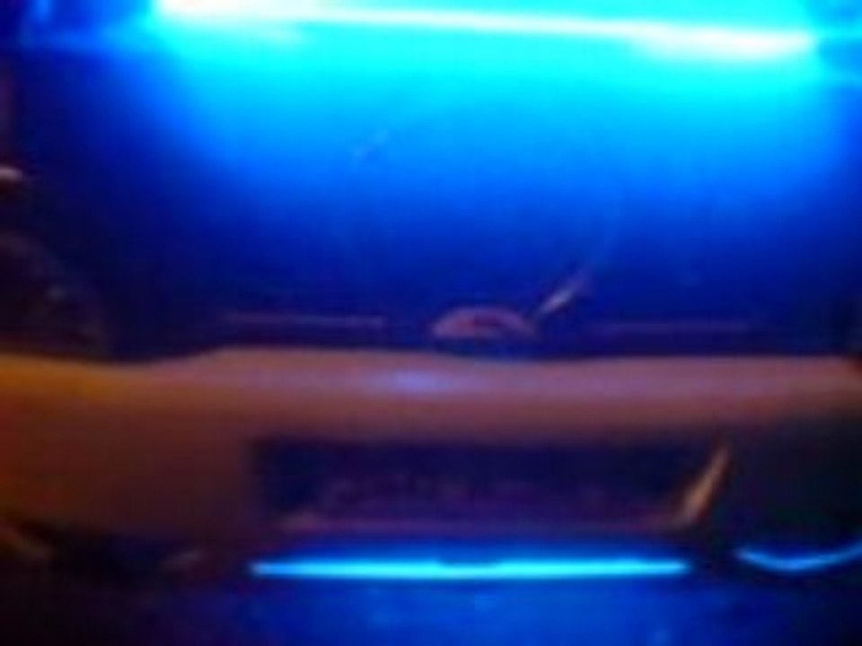 clio nitrous