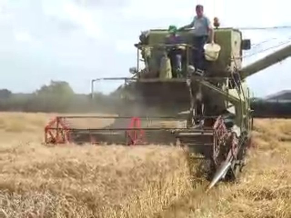 Moisson 2008 Claas Matador Giant 1962