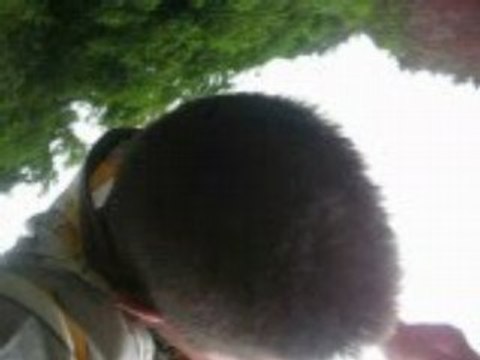 Saut elastique Lionel Ponsonnas