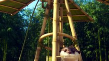 aiview kids world (5)