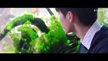 Chu Lian Le Na Me Duo Nian episode 14 english subs