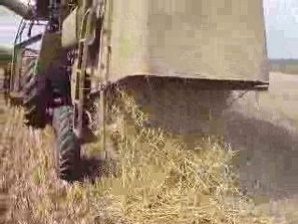 Moisson 2008 Claas Matador giant 1962 vue arriere