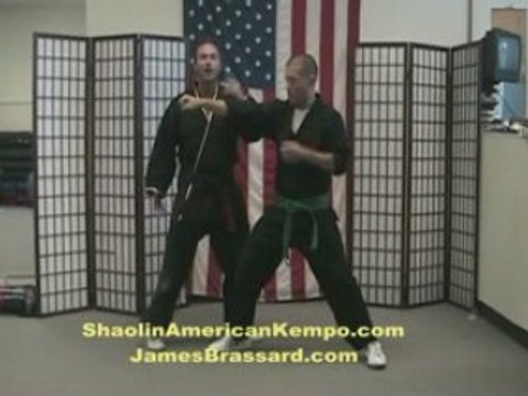 Shaolin Kempo Karate- Jim Brassard Combination 3