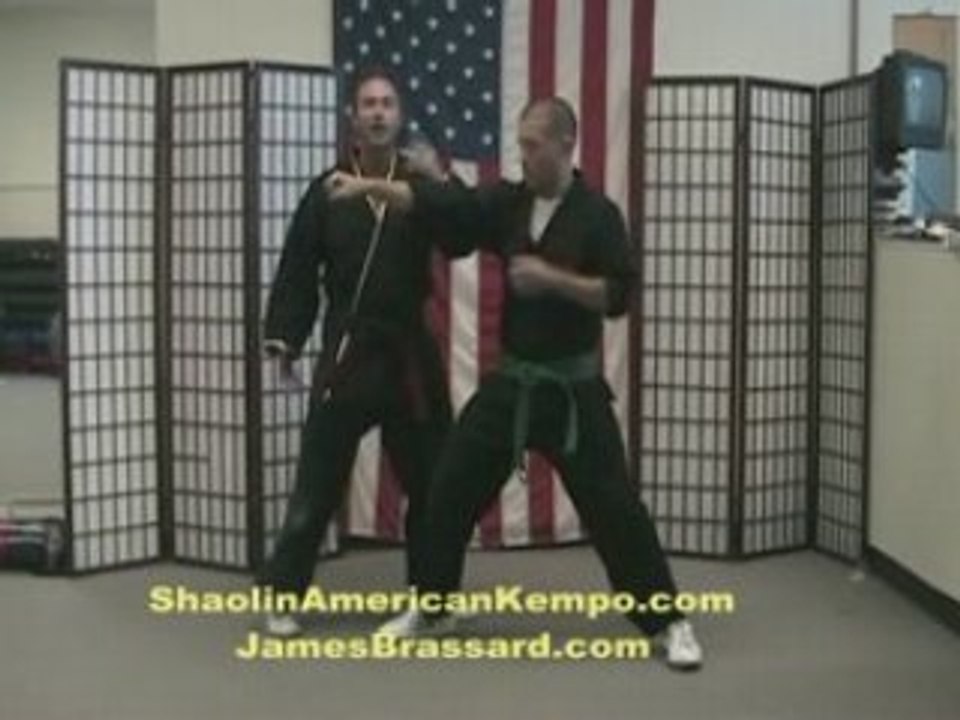 Shaolin Kempo Karate-  Jim Brassard Combination 3