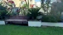 خانوو بۆ کرێ