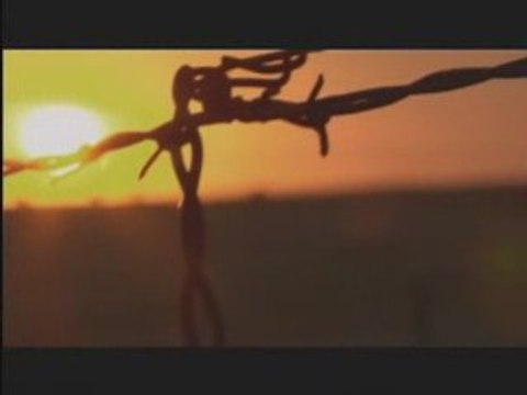 Red Bull Last Man Standing 2007