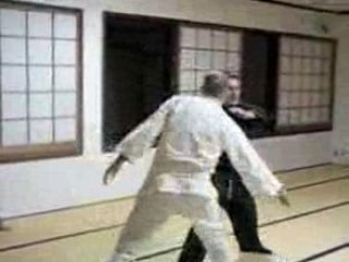 京都忍術道場 KYOTO NINJUTSU FUDOSHIN DOJO JAPAN