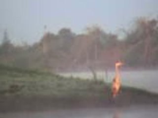 Sur l' Ognon autour du lac de Grand Lieu --- mon film