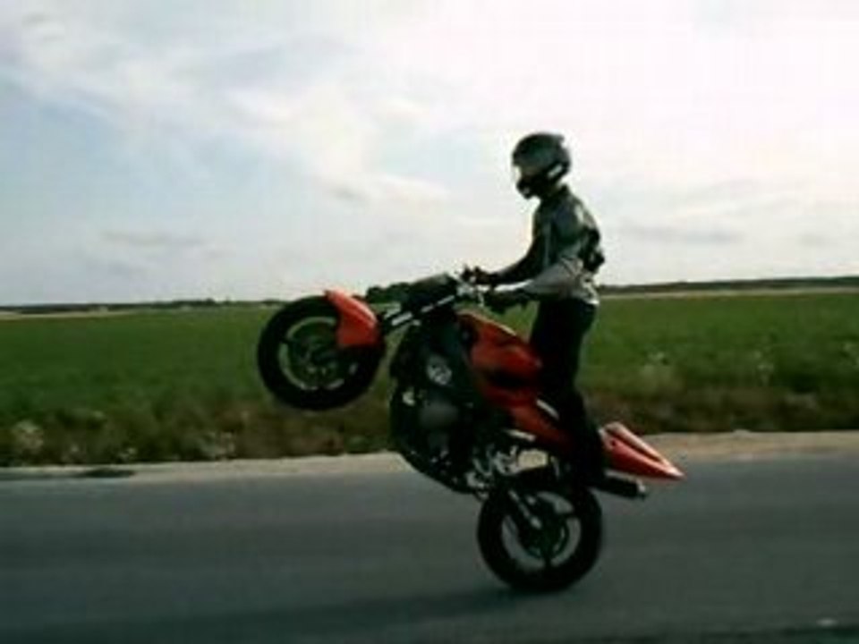 Stunt geo
