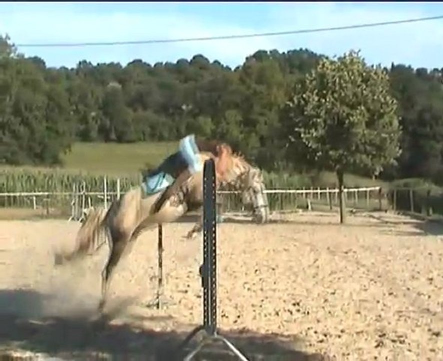 Saut avec GribOuille
