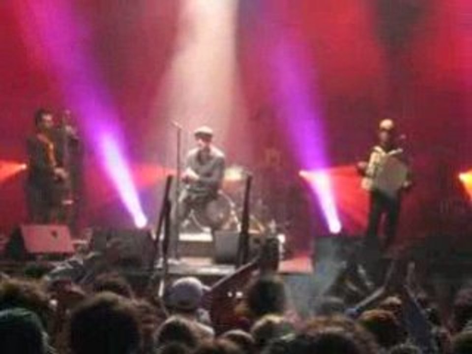 Java - Le Poil