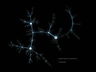 Spreading of the Happy Flu experiment