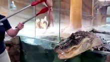 First and last day on the job [720p]