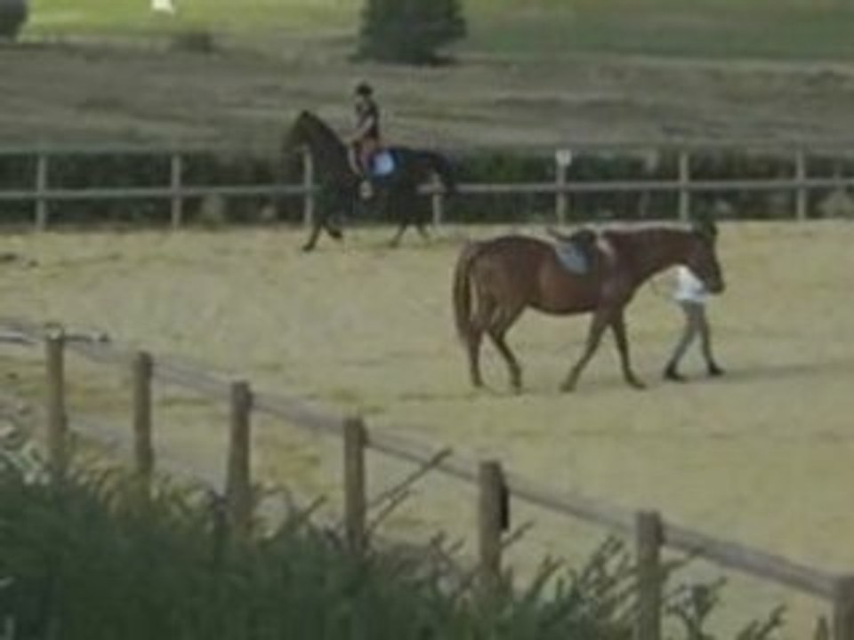 Philou au trot