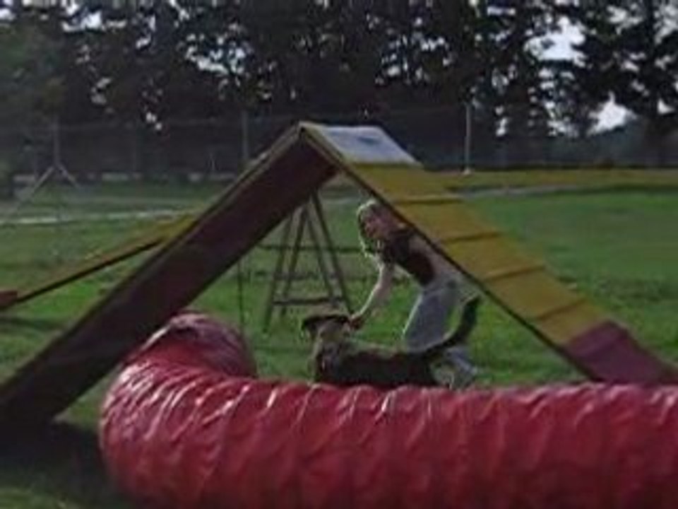 charlotte et looping