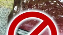 ¡Descubre funciones ocultas de los autos que no conocías!