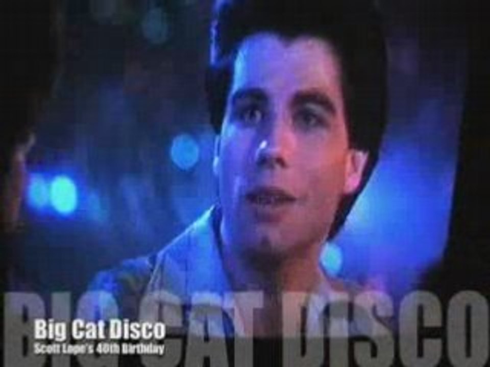 Big Cat Disco