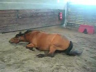 Et c'est reparti pour un tour!!