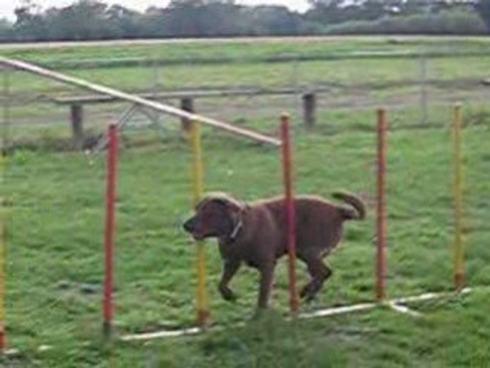 charlotte et looping