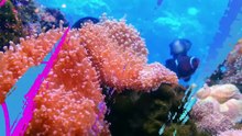 Titan Ramform, Kapal Pemetaan Laut Tercanggih Berbentuk Unik