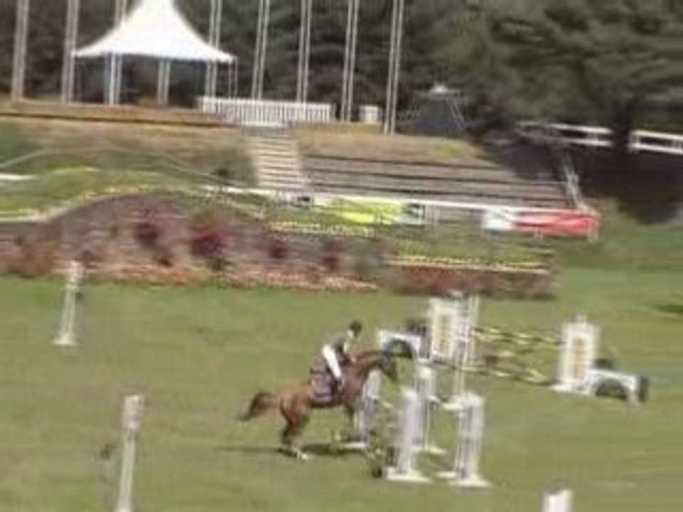 Perelan Ar Park - CSO 5ans A - Dinard 2008-08-05