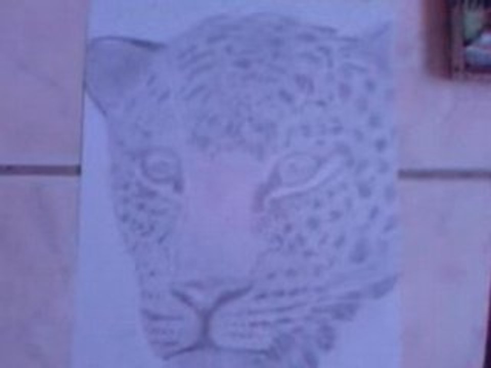 Mes dessins^^