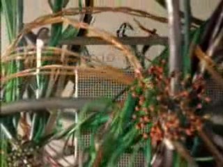 Sony VAIO Vines HDNA High Definition Blu Ray