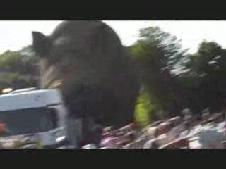 WOINIC a Signy l'Abbaye