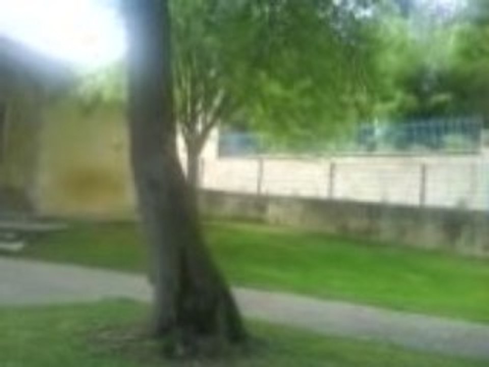 MOV00613