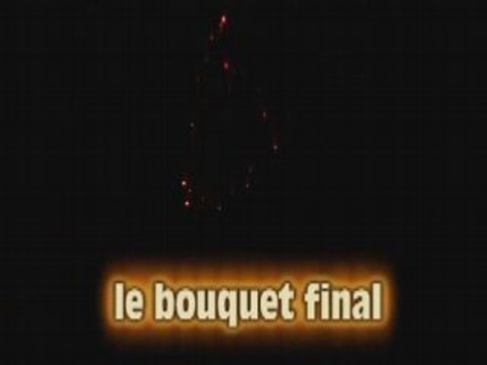 Feu d'artifice rogny les 7 ecluses 02