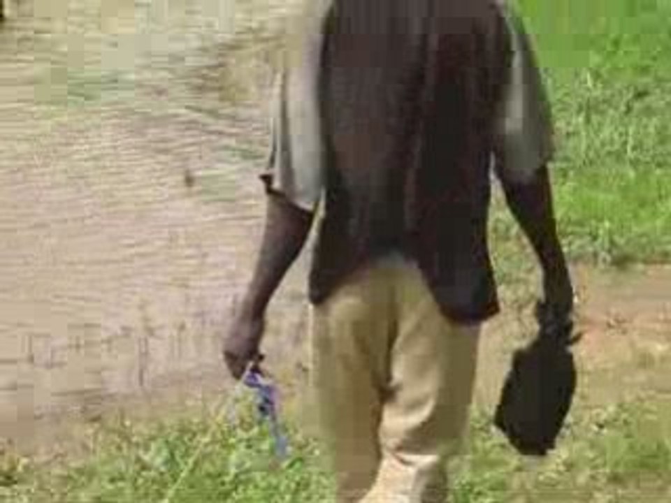 Mali - Lucky Chicken