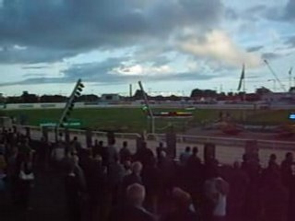 Dog Race 1