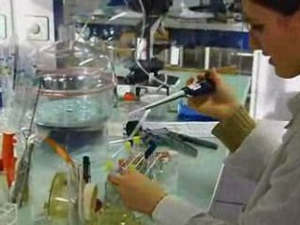 TP bioreaction