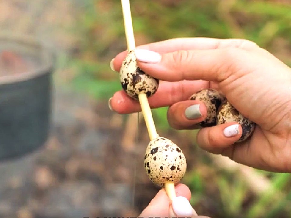 Off-Grid Survival Essentials: Learn to Live Self-Reliant in the Wild